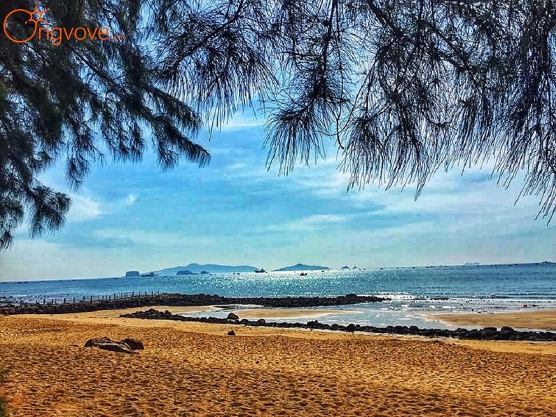 Thời Điểm Để Du Lịch Biển Bãi Đông Đẹp Nhất