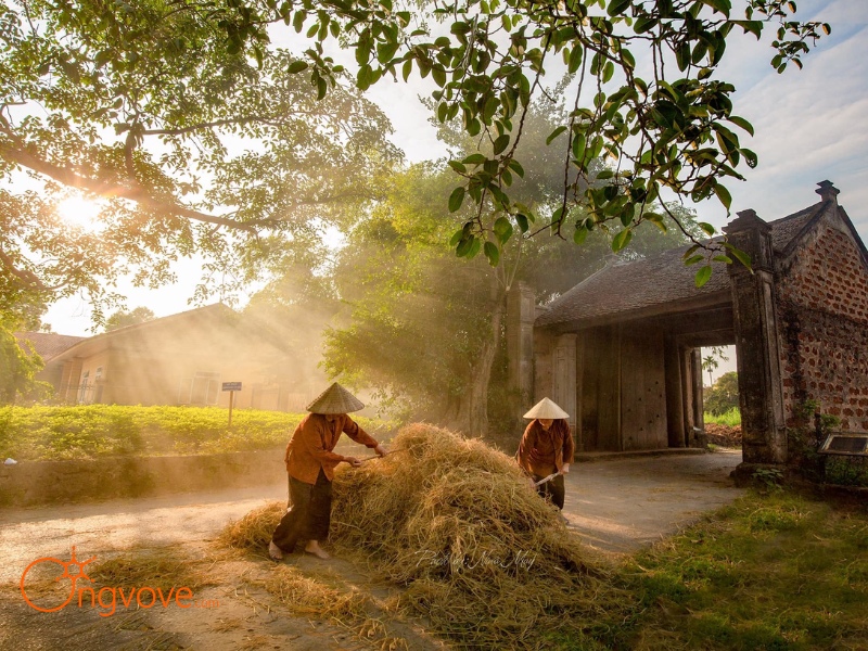 Thời Tiết Làng Cổ Đường Lâm Vĩnh Phúc
