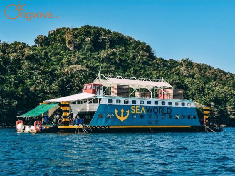 Ẩm Thực Gần Công viên san hô Ocean Pearl
