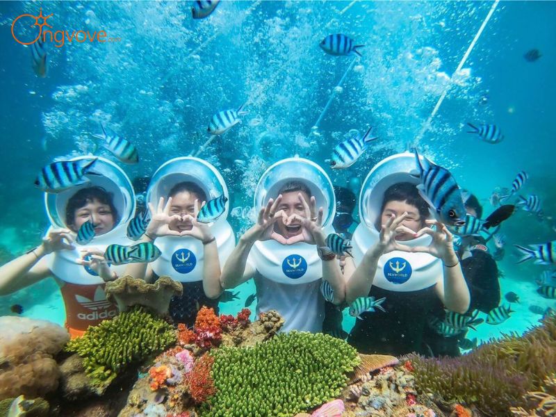 Giới Thiệu Công viên san hô Ocean Pearl