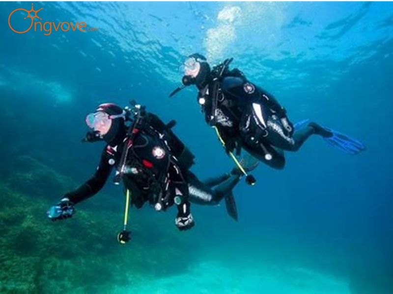 Kinh Tế và Tầm Ảnh Hưởng Của Công viên san hô Ocean Pearl