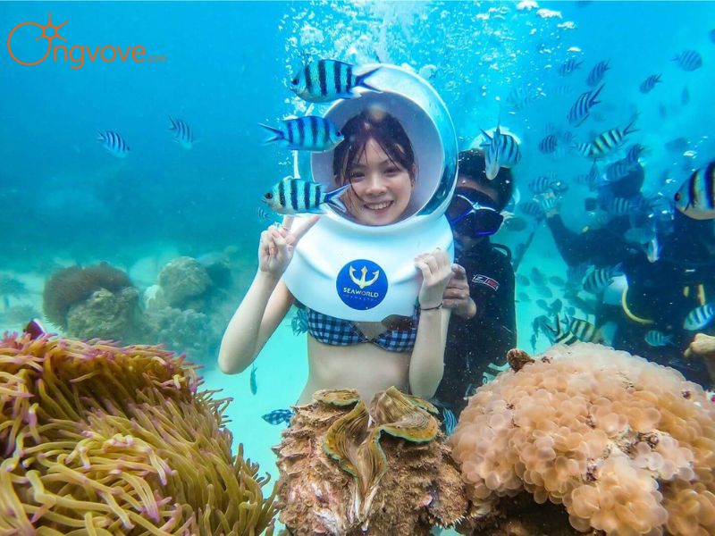 Nên đến Công viên san hô Ocean Pearl vào thời gian nào