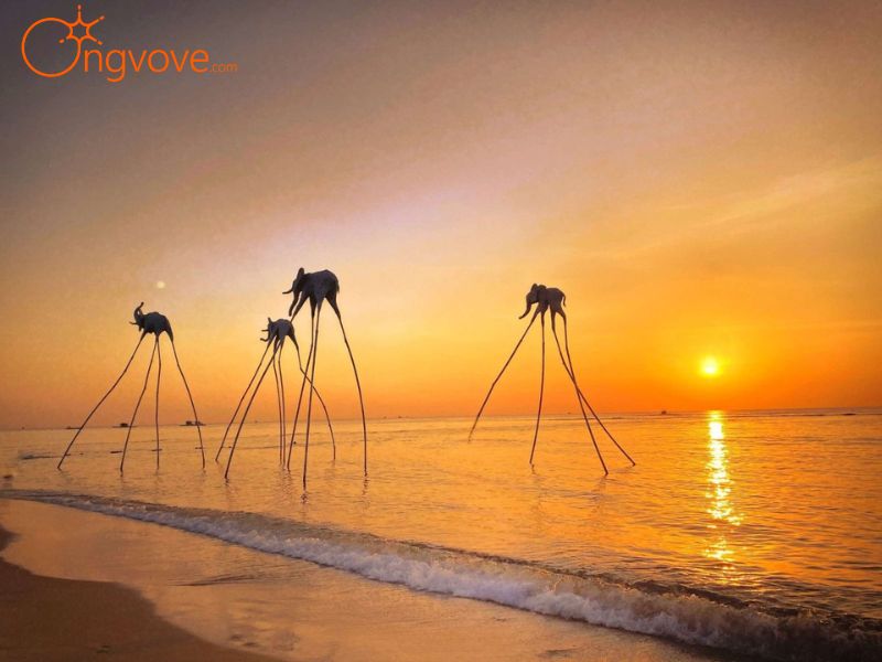 Phương Tiện Di Chuyển Đến Bãi Trường Phú Quốc