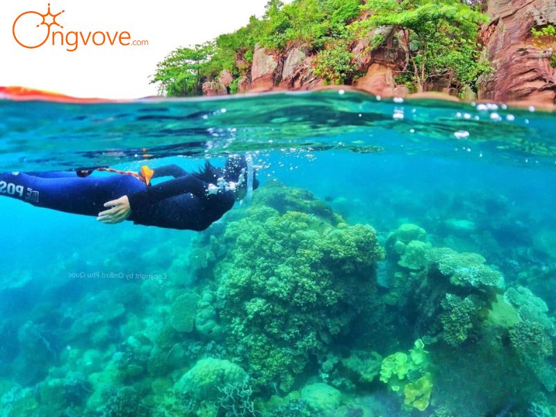 Phương Tiện Di Chuyển Đến Công viên san hô Ocean Pearl