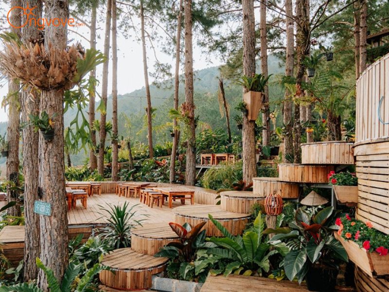Các Dịch Vụ Lưu Trú Chất Lượng Gần Cao Nguyên Hoa Đà Lạt – Kéo Dài Giấc Mơ Của Bạn