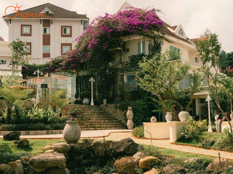 Giới Thiệu Bảo tàng & Vườn Madame De Dalat – Nơi Nghệ Thuật Giao Hòa Cùng Thiên Nhiên