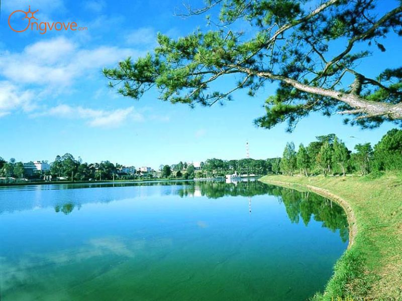 Giới Thiệu Hồ Than Thở Đà Lạt – Nơi Tình Yêu Thở Than