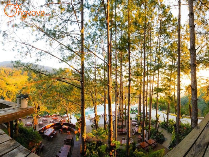 Lịch Sử Hình Thành Và Tầm Nhìn Phát Triển Của Cao Nguyên Hoa Đà Lạt