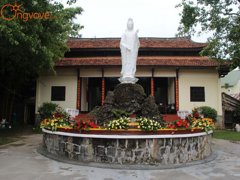 Ong Vò Vẽ Travel – Cung Cấp Trải Nghiệm Du Lịch Và Tâm Linh Tại Chùa Lâm Tỳ Ni Đà Lạt