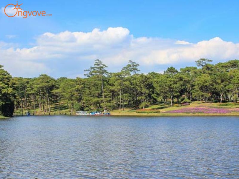Ong Vò Vẽ Travel – Cung Cấp Các Tour Du Lịch Khám Phá Hồ Than Thở Đà Lạt