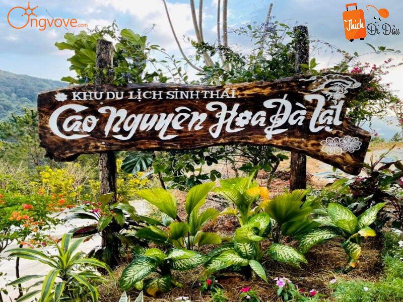 Ong Vò Vẽ Travel – Nền Tảng Tour Du Lịch Khám Phá Cao Nguyên Hoa Đà Lạt
