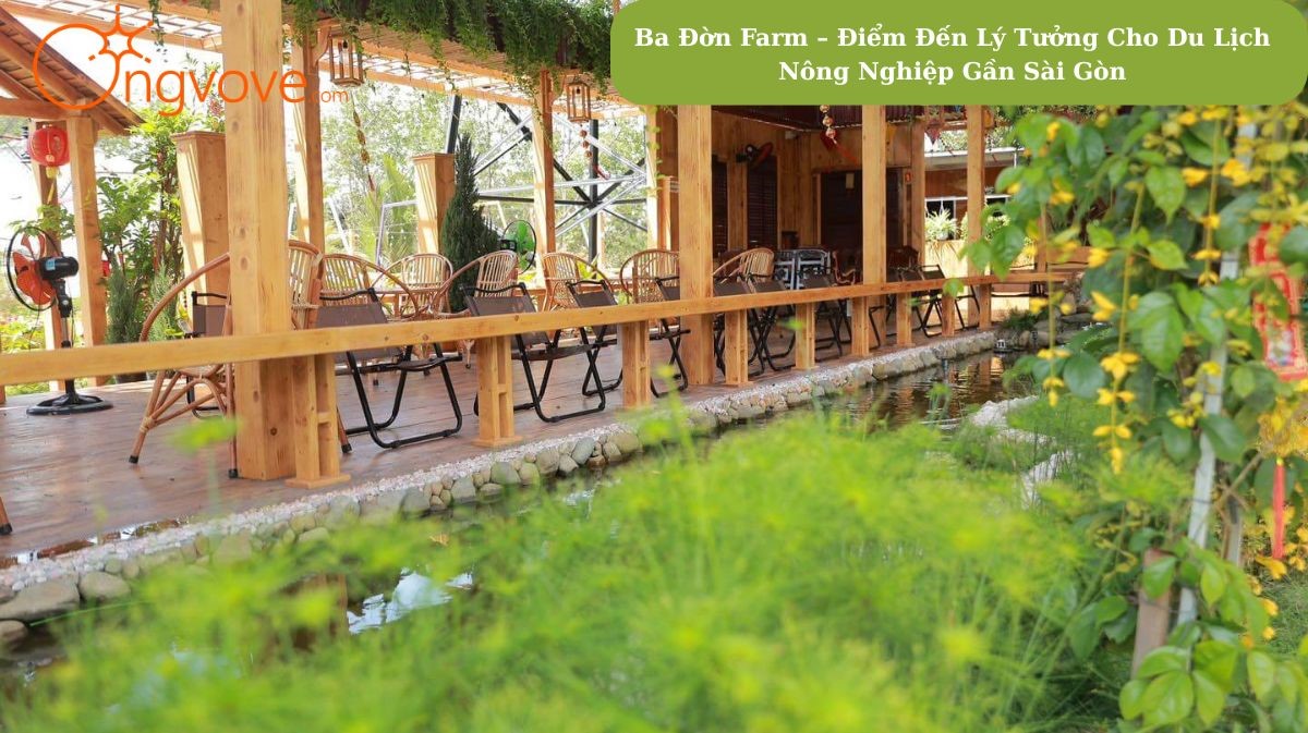 Ba Đờn Farm