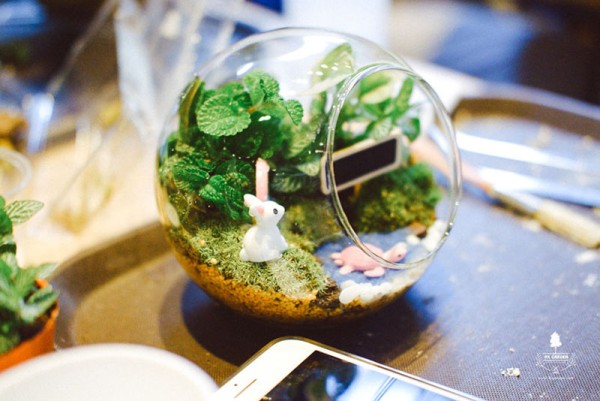TERREARIUM WORKSHOP - Lớp học trồng cây trong lọ thủy tinh