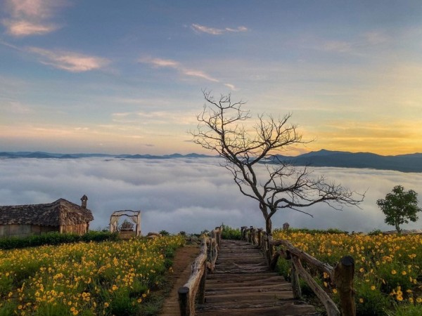 TOUR ĐÀ LẠT 3N2D - Thác Datanla - Thiền Viện Trúc Lâm - đồi Robin – Cáp Treo - Đồi chè Cầu Đất