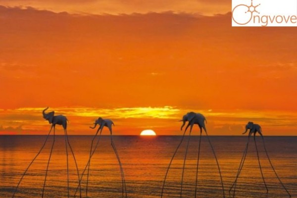 Khám phá tour phú quốc Sunset Sanato- điểm hẹn hò với hoàng hôn cực chill