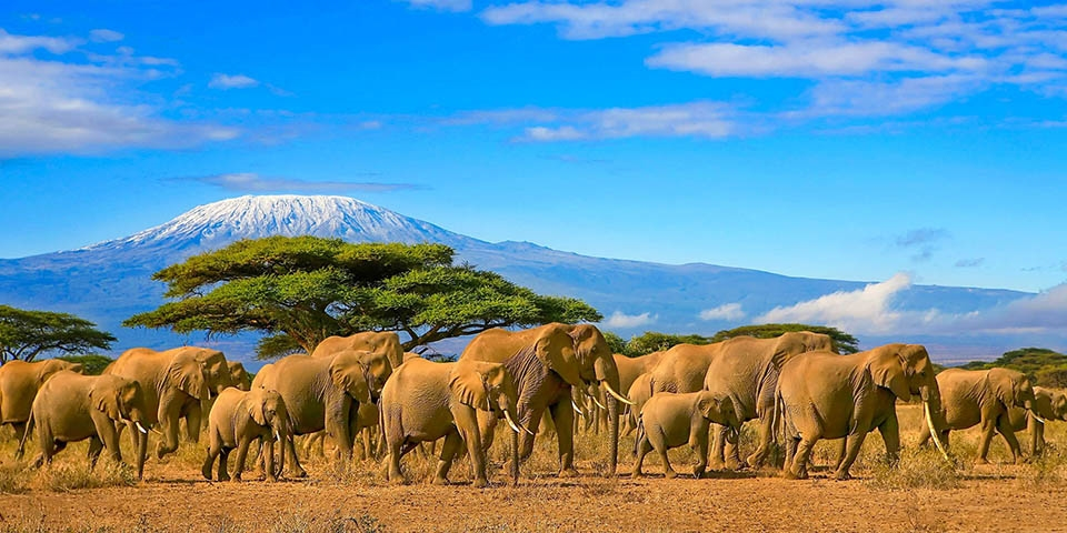 Du lịch Kenya: thiên đường Châu Phi hoang dã thú vị