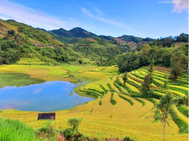Giới Thiệu Địa Điểm Bắc Hà