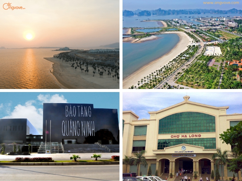 Lý Do Nên Lựa Chọn Sử Dụng Dịch Vụ Xe Buýt 2 Tầng Hạ Long