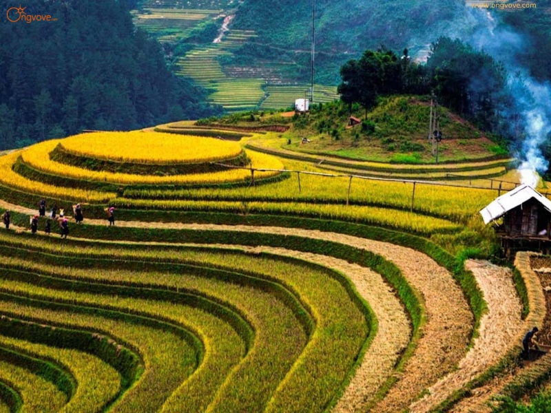 Các Địa Điểm Nổi Tiếng Gần Thông Nguyên
