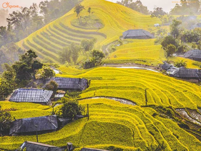 Giới Thiệu Địa Điểm Thông Nguyên