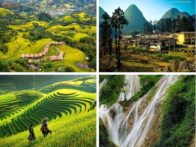 Kinh Nghiệm Tham Quan Thông Nguyên