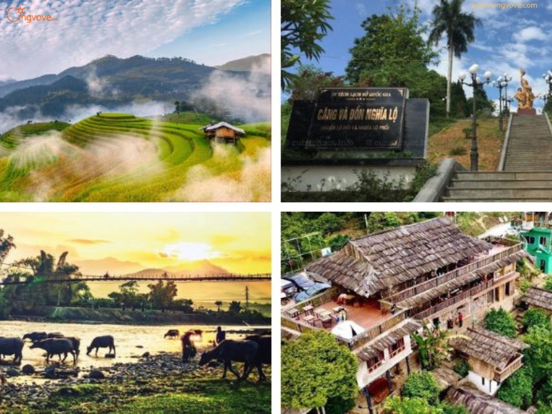 Tìm Hiểu Địa Điểm Nghĩa Lộ Trên Nền Tảng Ong Vò Vẽ