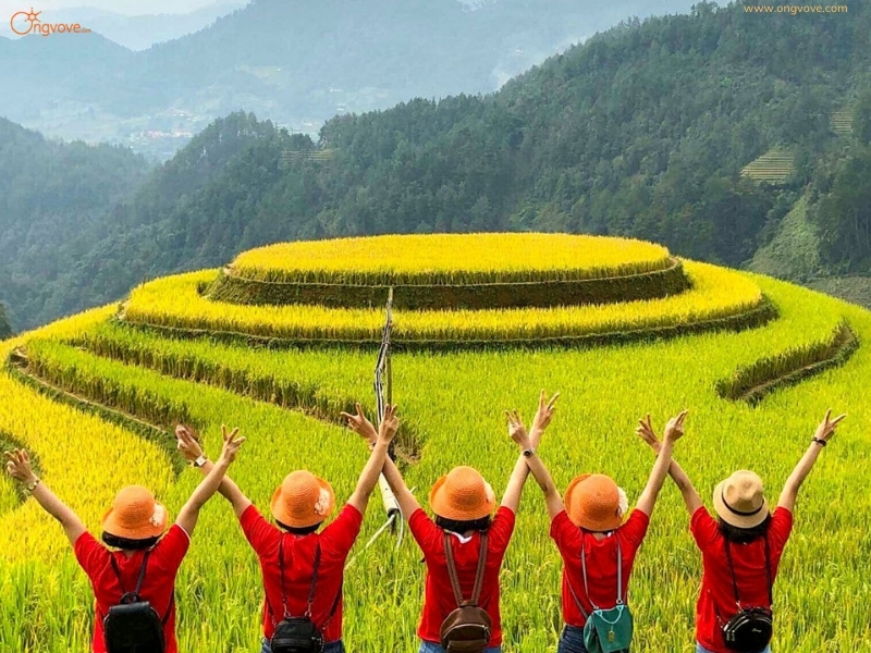 Tìm Hiểu Địa Điểm Tú Lệ Trên Nền Tảng Ong Vò Vẽ