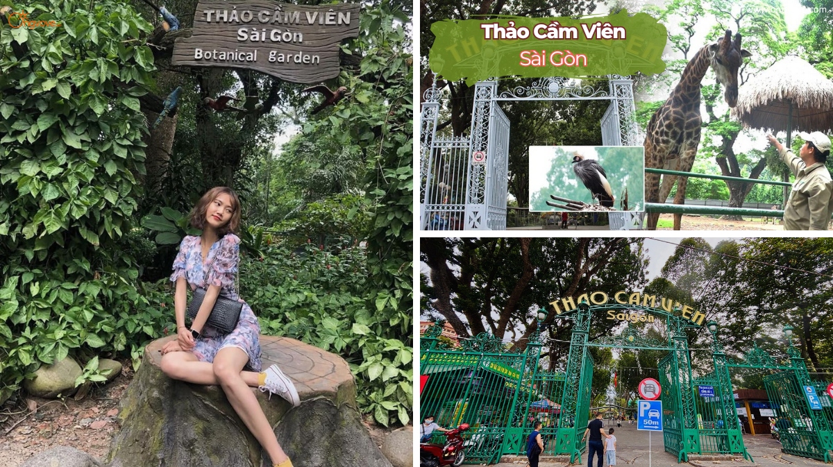 Khám Phá Thế Giới Thám Tử HCM - Chuyên Nghiệp và Tin Cậy