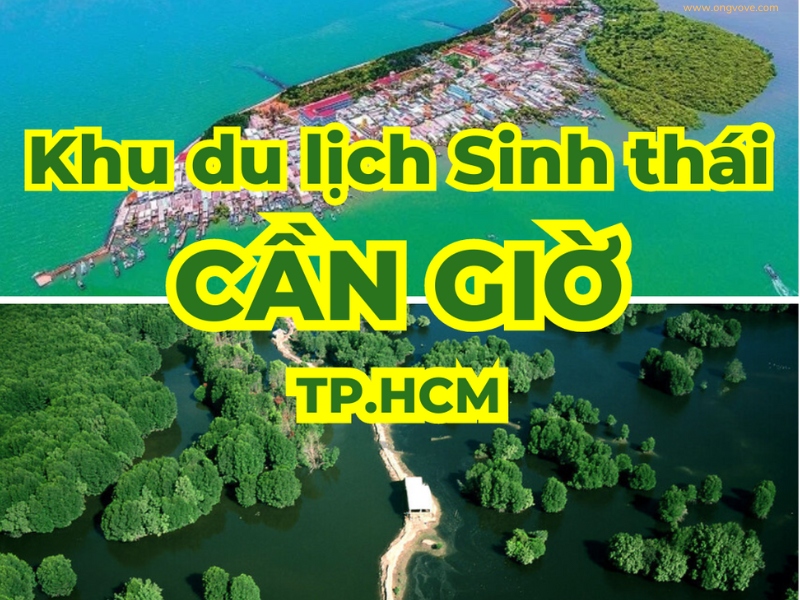 Những lưu ý quan trọng khi du lịch sinh thái tại Khu du lịch Dần Xây Cần Giờ