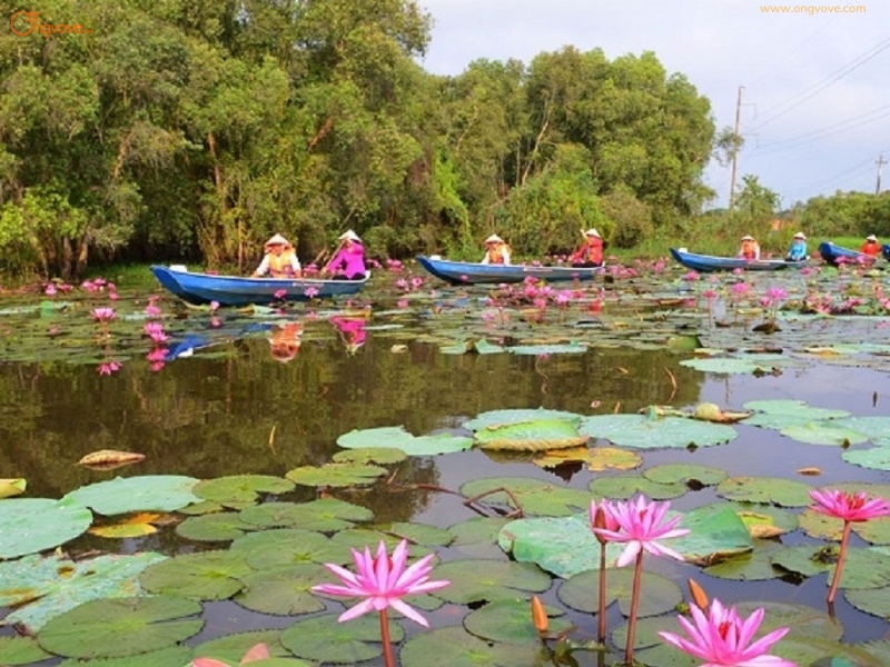 Hướng dẫn di chuyển đến Láng Sen Long An