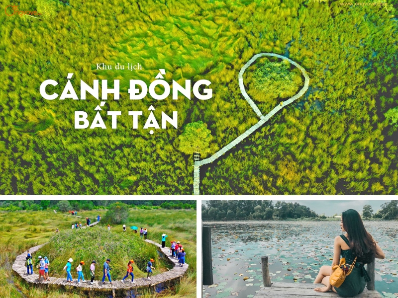 Kinh Nghiệm Du Lịch Cánh Đồng Bất Tận