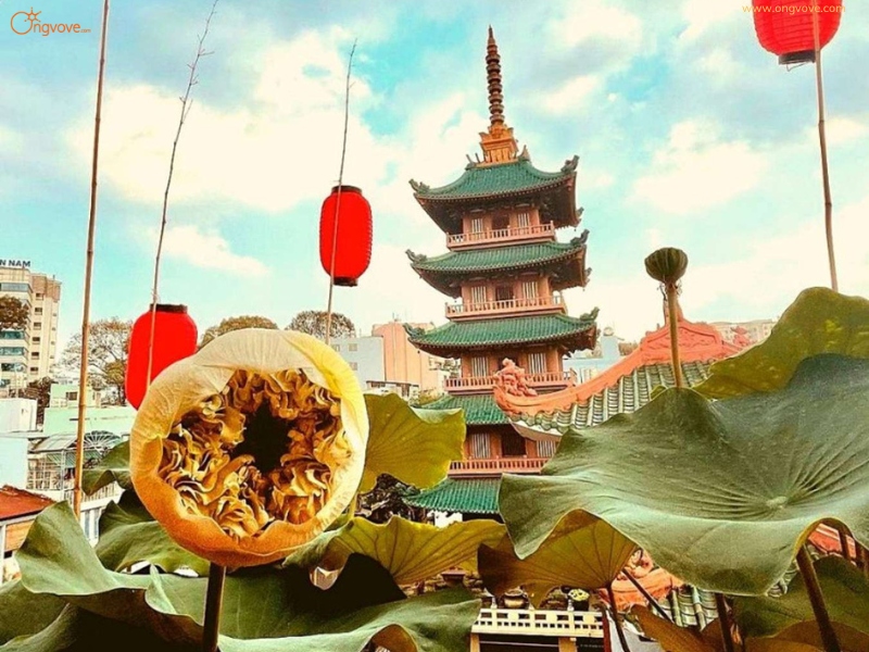 Chùa Ấn Quang và Văn Hóa Cộng Đồng