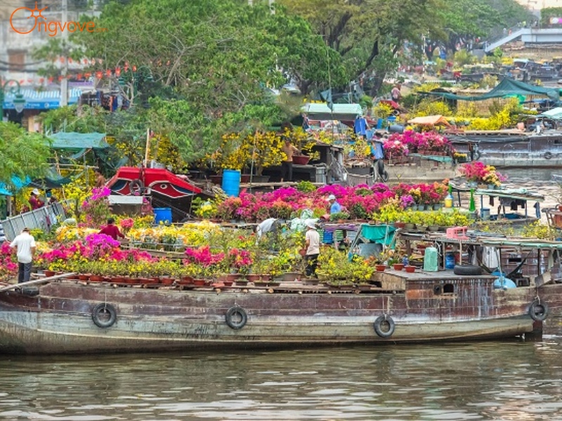 Sử Dụng Dịch Vụ Du Lịch "Bến Bình Đông" Tại Nền Tảng Ong Vò Vẽ Travel