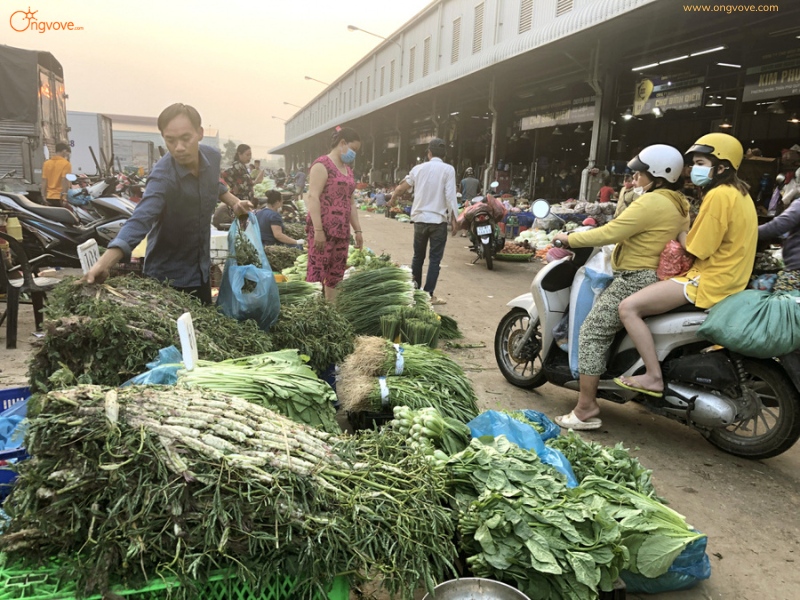 Di Chuyển Đến Chợ Đầu Mối Bình Điền Thế Nào