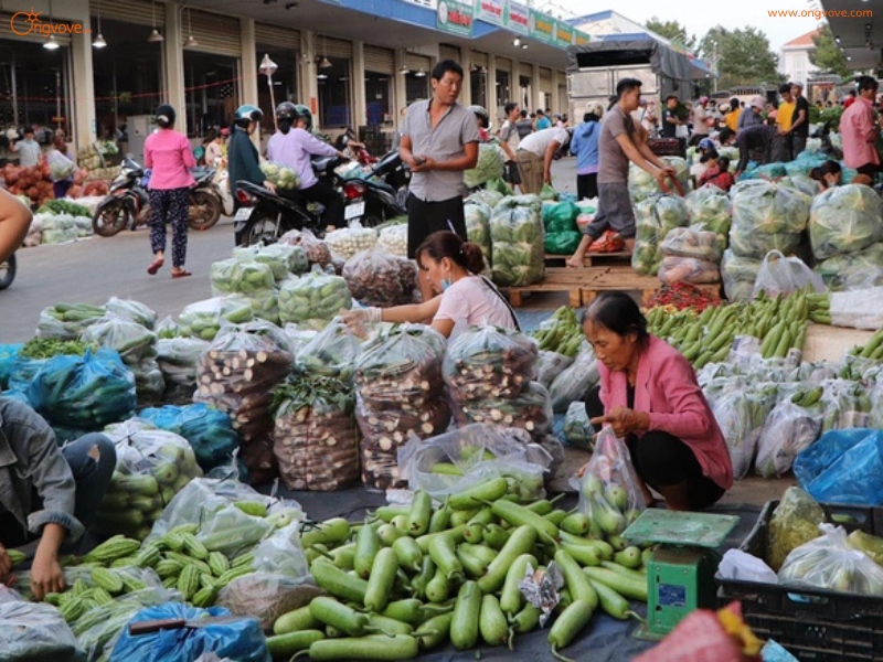 Mua Sắm Gì Tại Chợ Đầu Mối Bình Điền