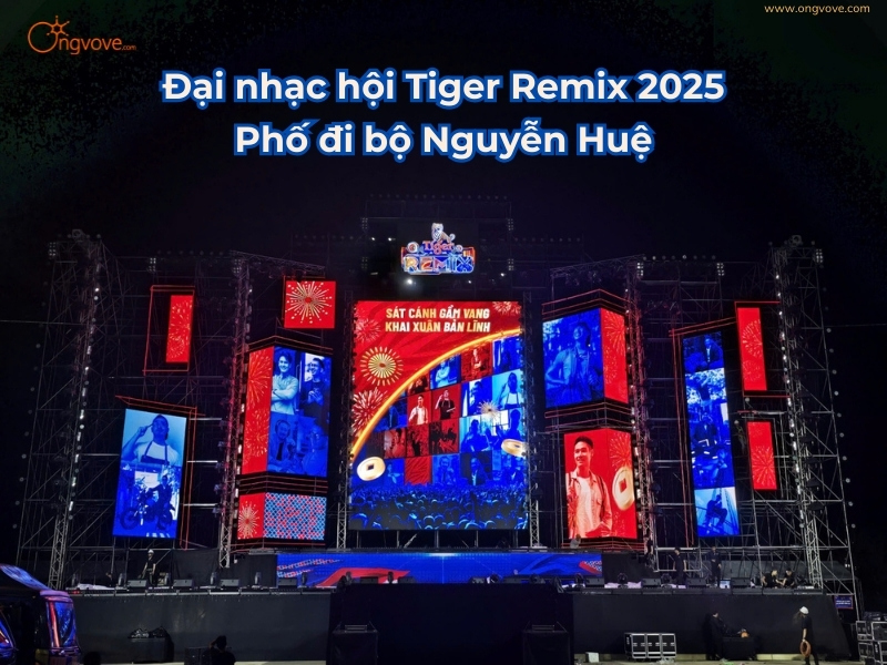 Đại nhạc hội Tiger Remix 2025 – Phố đi bộ Nguyễn Huệ