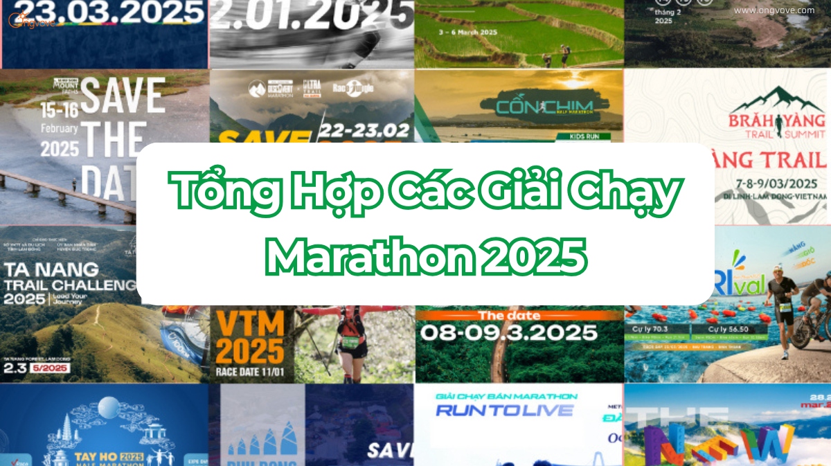 Tổng Hợp Các Giải Chạy Marathon 2025 (Mới Nhất)