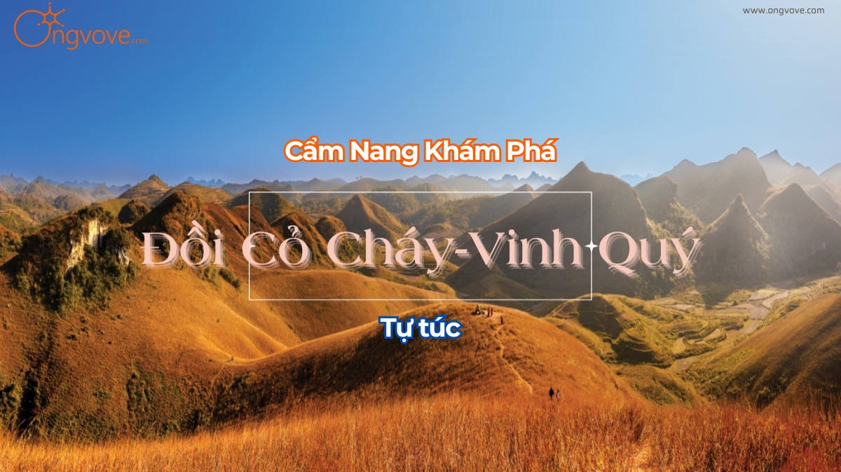 Khám phá Đồi Cỏ Cháy Vinh Quý Cao Bằng tự túc