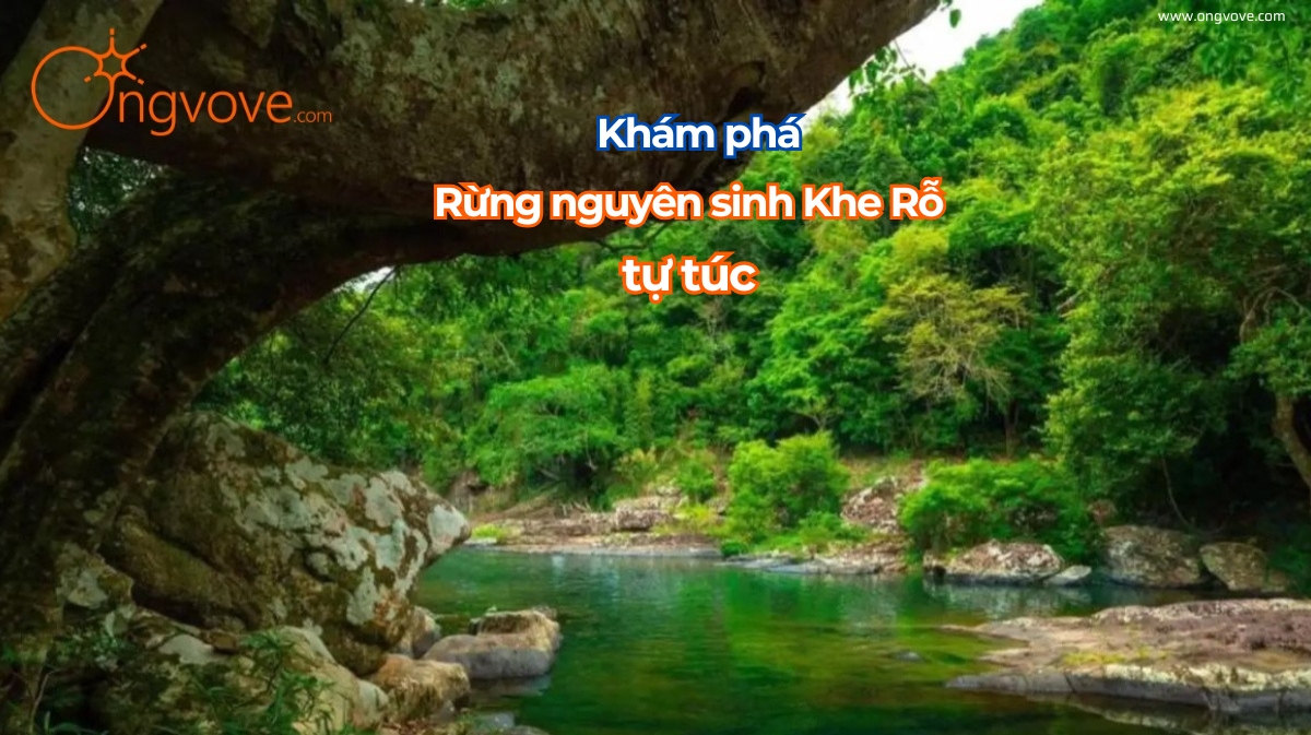 Khám Phá Rừng Nguyên Sinh Khe Rỗ Tự Túc - Những Trải Nghiệm Không Thể Bỏ Lỡ