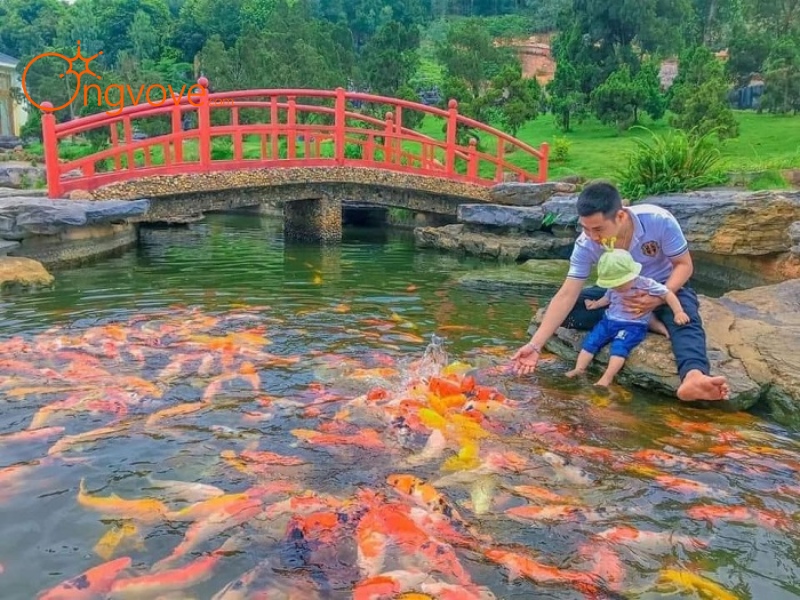 Lịch trình gợi ý cho chuyến đi 1 ngày tại Thác Tiên Bắc Giang