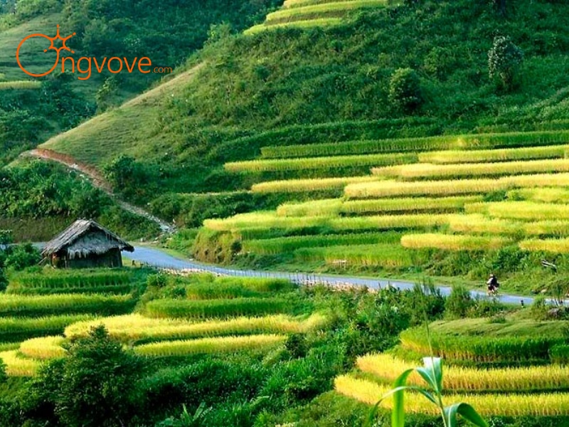 Ong Vò Vẽ Travel – Tour "Đèo Gió Bắc Kạn" Giá Rẻ, Trải Nghiệm Trọn Vẹn