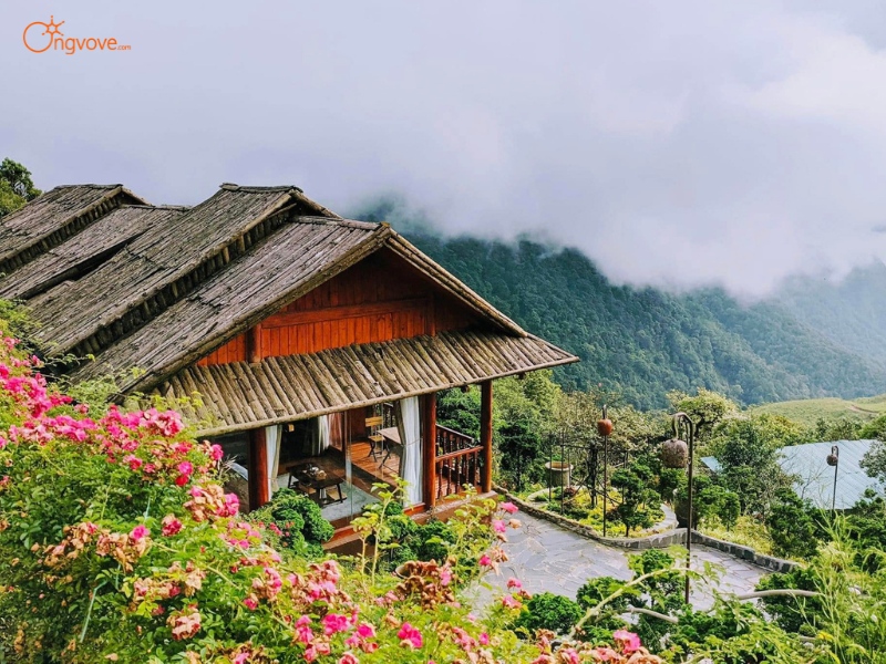 Các Dịch Vụ Lưu Trú Đèo Ô Quy Hồ Lai Châu