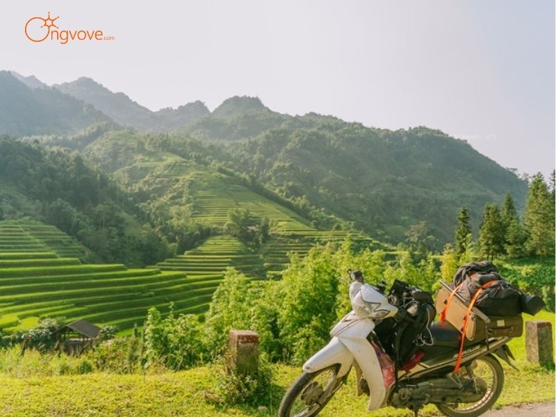 Thông Tin Tour, Địa Điểm Du Lịch Tại Đèo Ô Quy Hồ Lai Châu