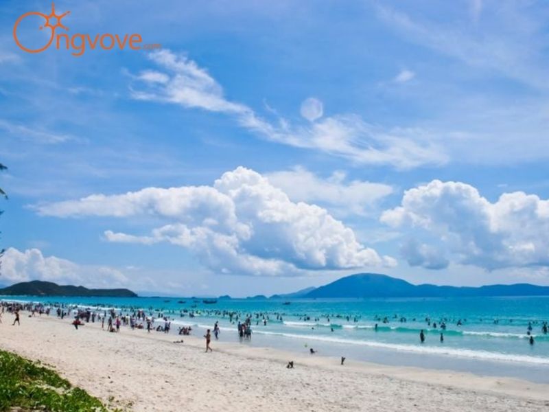 Giới Thiệu Về Biển Trà Cổ