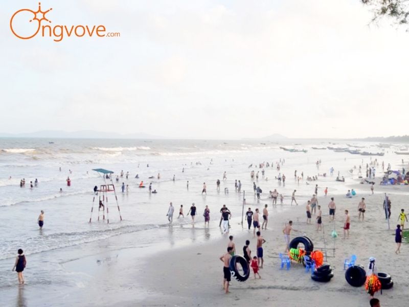 Sử Dụng Các Dịch Vụ Du Lịch Biển Trà Cổ Quảng Ninh Tại Nền Tảng Ong Vò Vẽ Travel