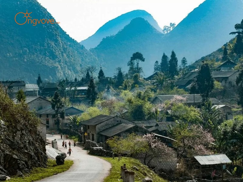 Phương Tiện Di Chuyển Thung Lũng Sủng Là Hà Giang