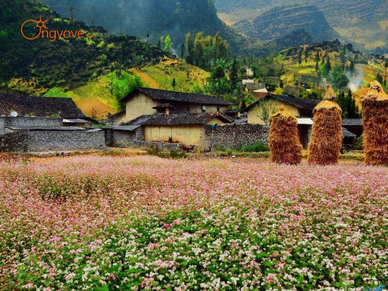 Thời Tiết Thung Lũng Sủng Là Hà Giang