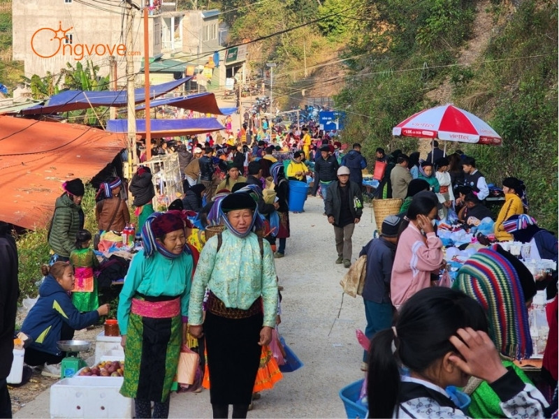 Phương Tiện Di Chuyển Chợ phiên Quản Bạ Hà Giang: "Đường Đến Chợ Quê"