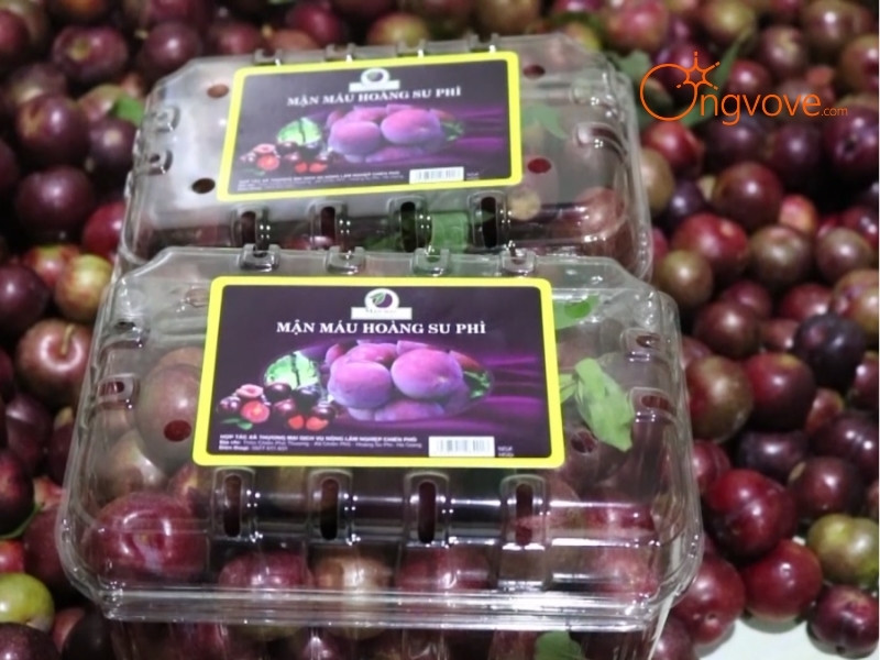 Ẩm Thực Chợ Hoàng Su Phì Hà Giang: Hương Vị Núi Rừng