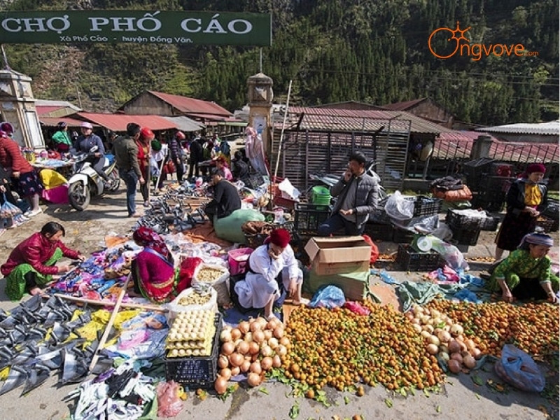 Ẩm Thực Chợ Phố Cáo Hà Giang: "Hương Vị Núi Rừng"